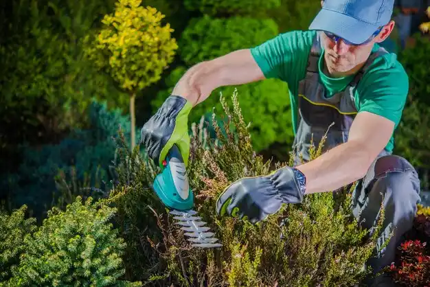 landscaping services Forest Hills